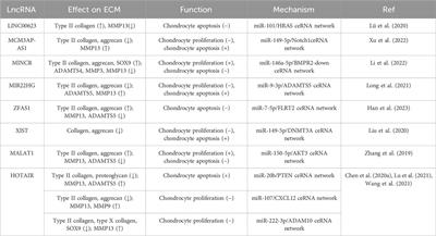 Biological functions and applications of LncRNAs in the regulation of the extracellular matrix in osteoarthritis
